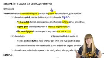 Ion Channels