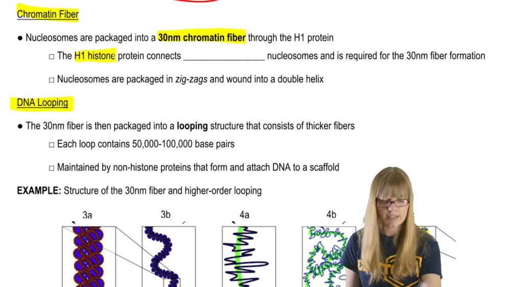 Complex DNA Packaging