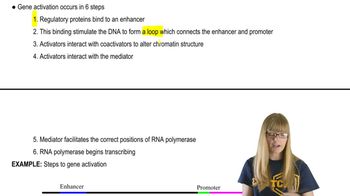 Gene Activation