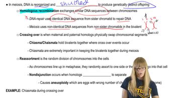 Genetic Variation