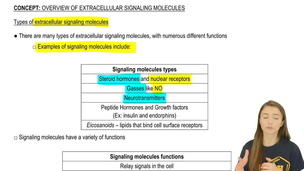 Types of Molecules