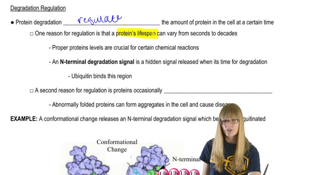 Degradation Regulation