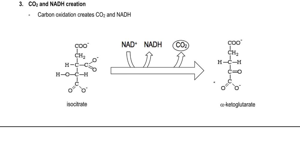 Citric Acid Steps