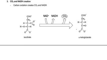 Citric Acid Steps
