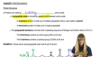 Protein Structures