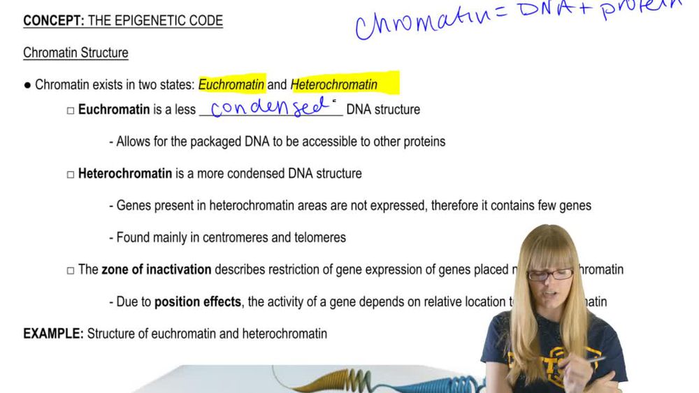 Chromatin Structure