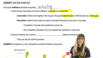 Enzyme Inhibition
