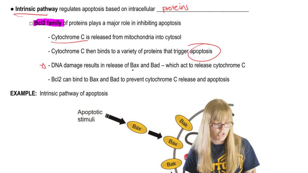 Triggering Cell Death