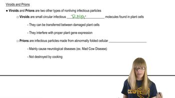 Viroids and Prions