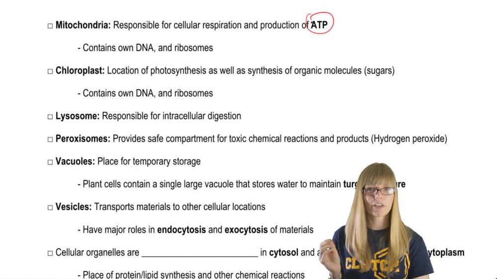 Eukaryotic Organelles