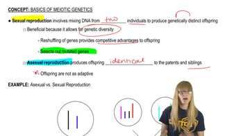 Meiotic Genetics