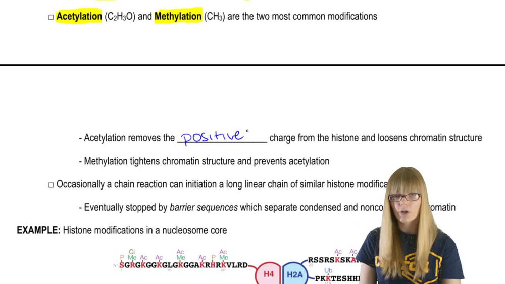 Histone Modifications