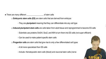 Stem Cells