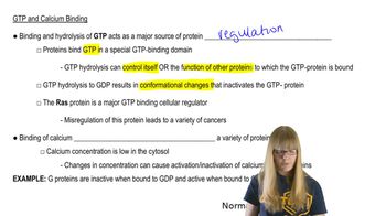 GTP and Calcium Binding