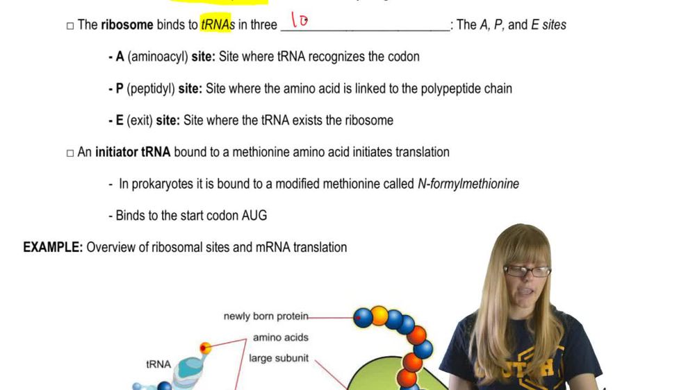 Translation Overview