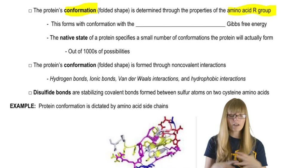 Protein Folding