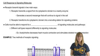 Cell Response