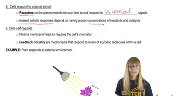 Cell Regulation