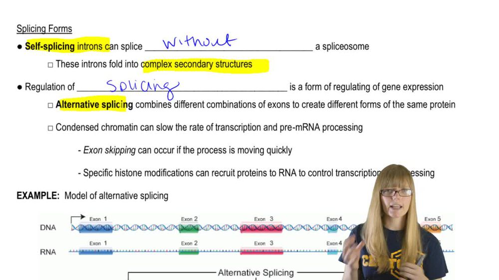 Splicing Forms
