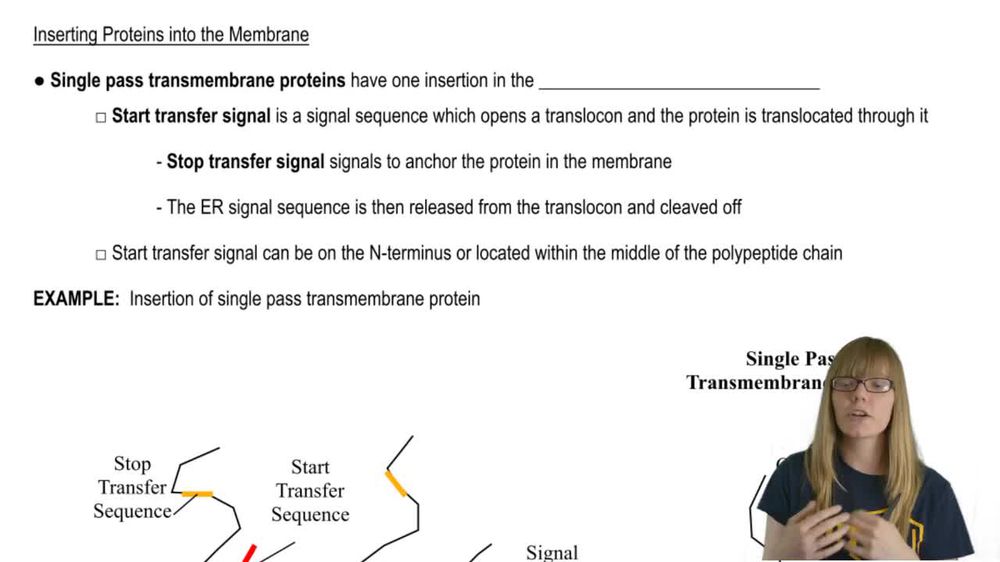 Inserting Membrane Proteins