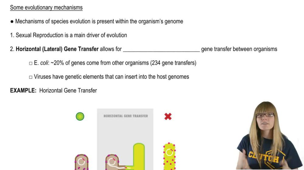 Evolutionary Mechanisms