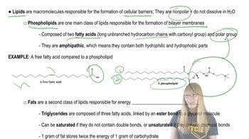 Lipids