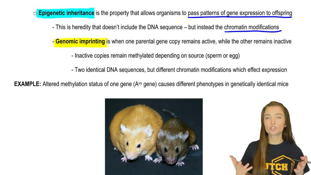 Epigenetic Heredity