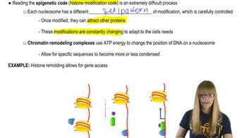 Epigenetic Code