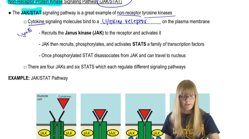 Non-Receptor Protein Kinases
