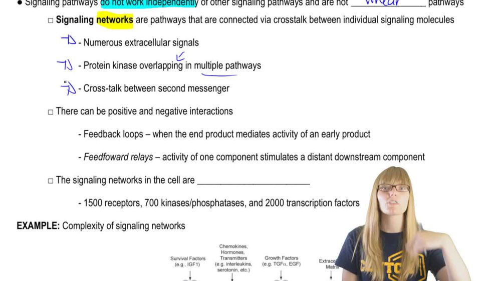 Integration of Multiple Pathways