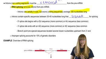 RNA Splicing Overview