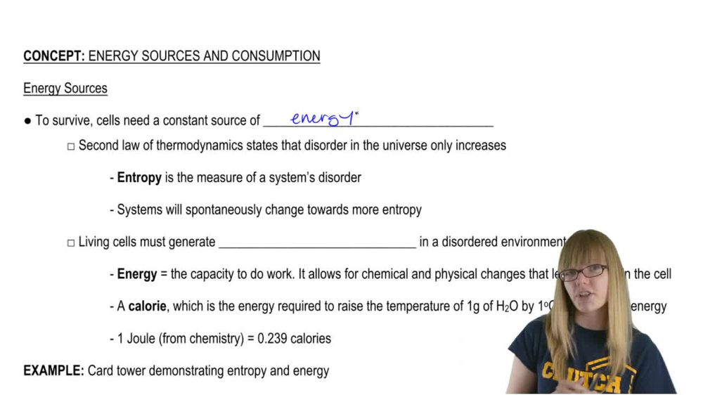 Energy Sources