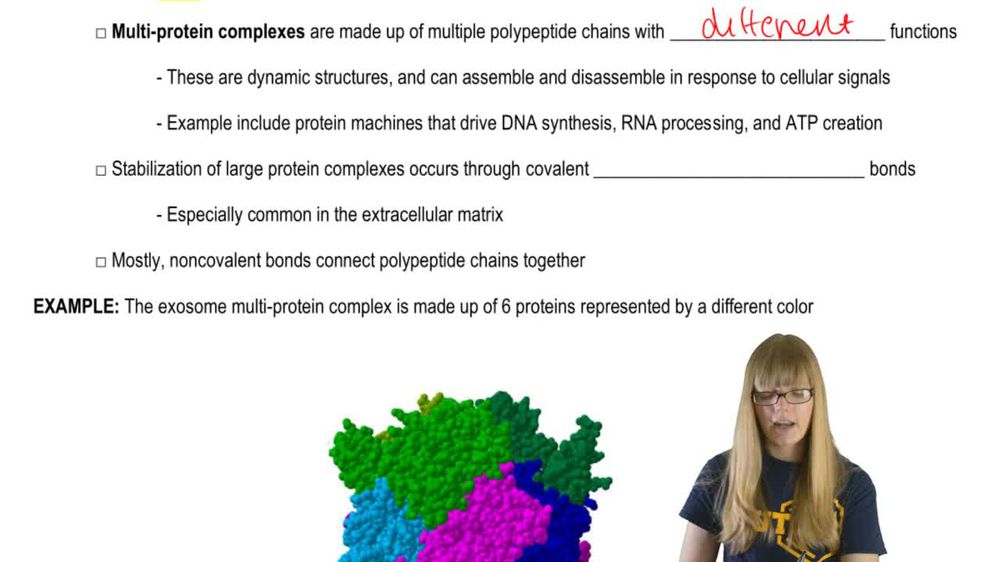 Complex Protein Structures
