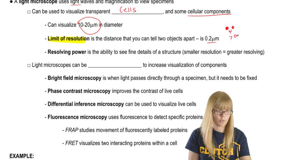 The Light Microscope