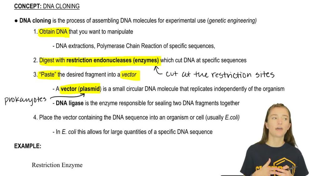 DNA Cloning