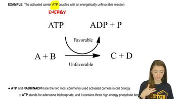 Activated Carriers