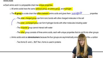 Amino Acids