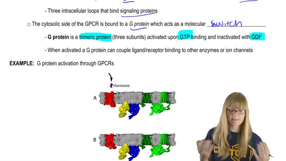 Structure and Signaling