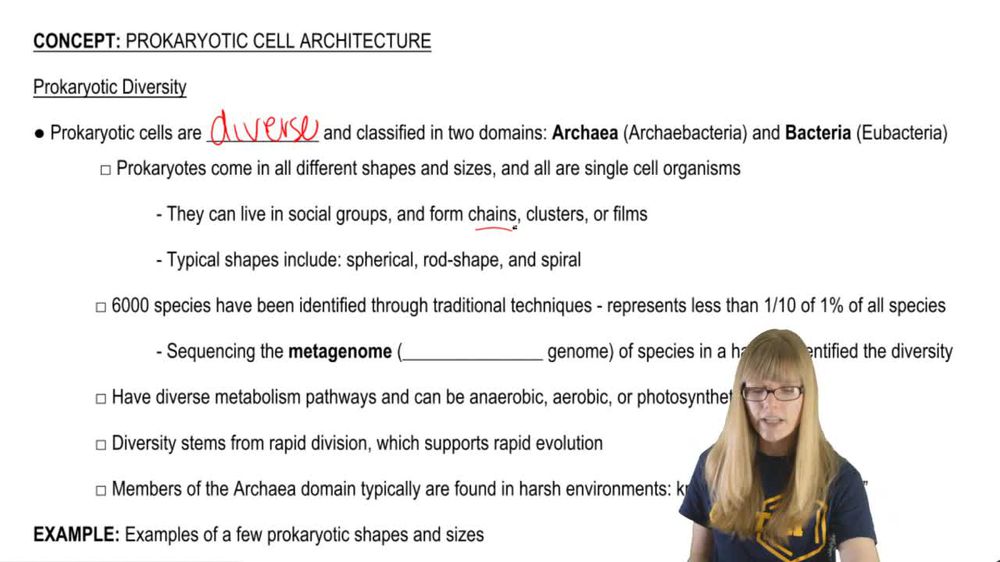 Prokaryotic Diversity