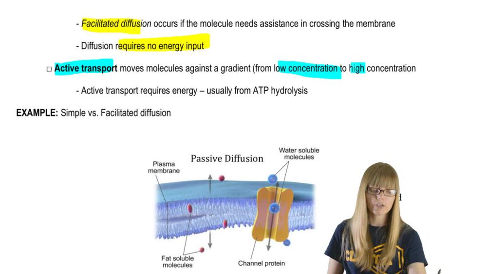 Passive and Active Transport