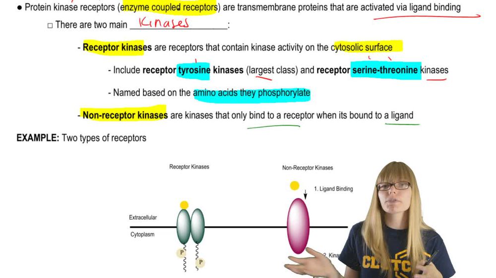 Structure and Activation