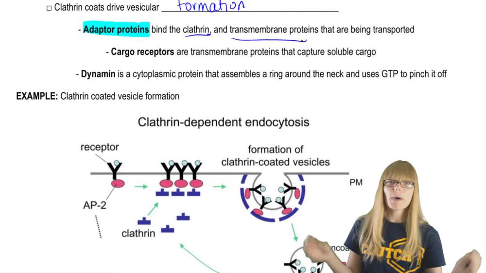 Vesicular Coats