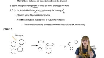 Genetic Screens