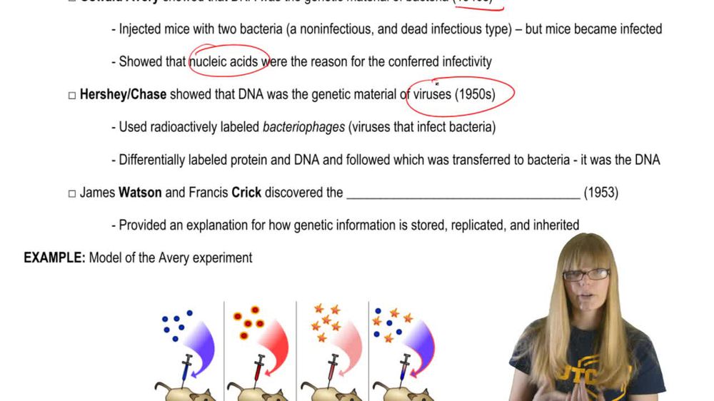 Important Scientists