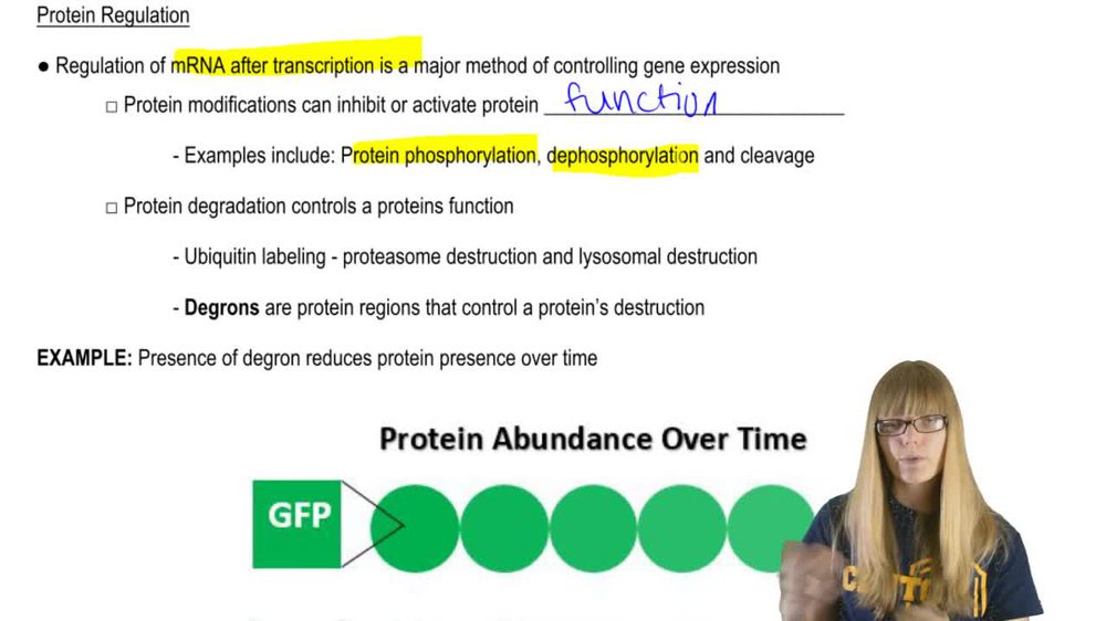 Protein Regulation