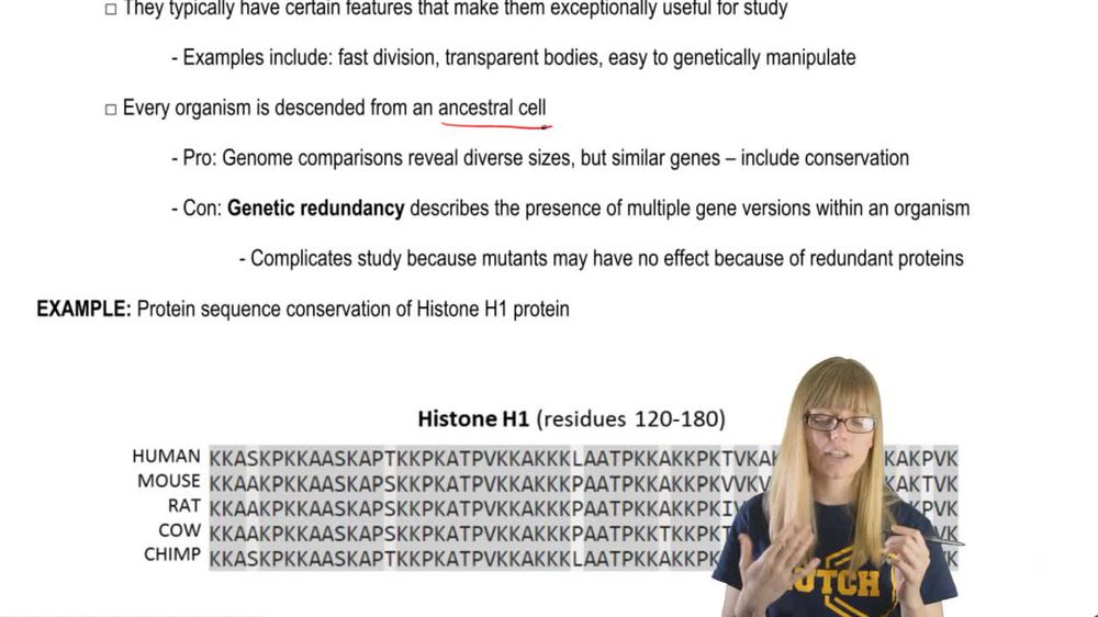 Purpose of Model Organisms