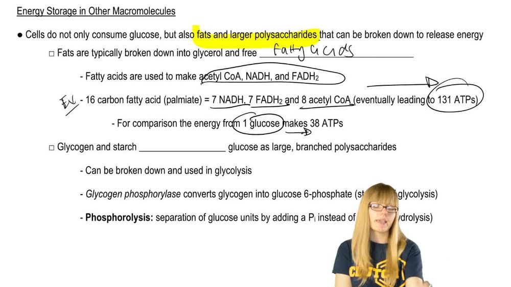 Energy Storage in Other Macromolecules