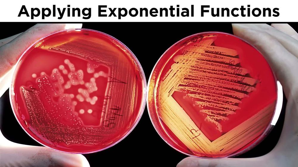 Evaluating and Graphing Exponential Functions