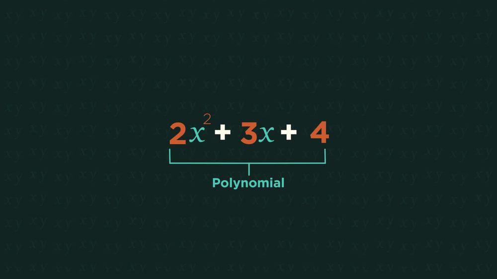 MATHS - Algebra - Polynomials