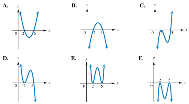 Six graphs labeled A to F show different polynomial curves with x-intercepts near 2 and 5 for matching a given function.